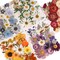 6 Pack 150PCS Real Pressed Dried Flowers Dry Leaves - Colorful
